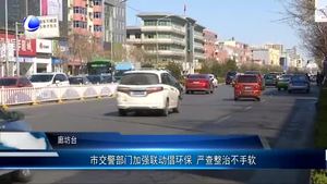 市交警部門加強(qiáng)聯(lián)動倡環(huán)保 嚴(yán)查整治不手軟