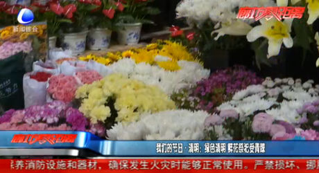 我們的節(jié)日·清明:綠色清明 鮮花祭祀受青睞