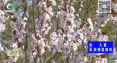 又是一年春來(lái)到 踏青賞花正當(dāng)時(shí)