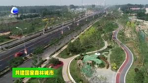 我市第一季度超額完成省下達全年營造林任務(wù)