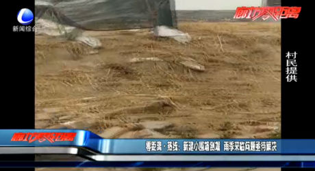 零距離熱線：新建小圍墻倒塌 雨季來(lái)臨問(wèn)題亟待解決