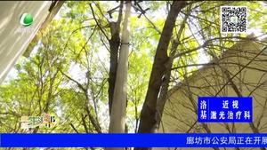 小區(qū)內(nèi)枯樹斷枝 電桿傾斜存隱患