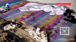 停電后椅子“自燃”差點燒了家？竟是電吹風(fēng)惹的禍