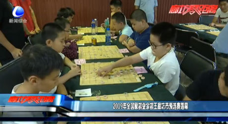 2019年全國(guó)象棋業(yè)余棋王廊坊市預(yù)選賽落幕