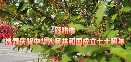 廊坊市組織開展“我和我的祖國”國慶快閃活動(dòng)