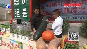 永清縣龍虎莊鄉(xiāng)舉辦“村歌社舞慶豐收 鄉(xiāng)村振興迎華誕”慶?；顒?dòng)