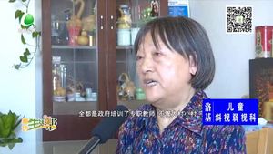 我和我的祖國—張鳳彩