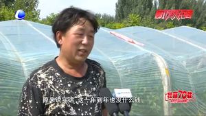 【脫貧攻堅·廊坊在行動】脫貧攻堅步鏗鏘 攜手并進(jìn)邁小康