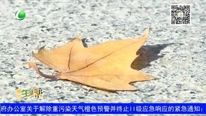 今日霜降 深秋寒涼時(shí)