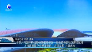 北京大型國(guó)際機(jī)場(chǎng)廊坊臨空經(jīng)濟(jì)區(qū)1自由貿(mào)易試驗(yàn)區(qū)廊坊區(qū)域上海政策推介會(huì)新聞側(cè)記：共謀發(fā)展 共贏未來