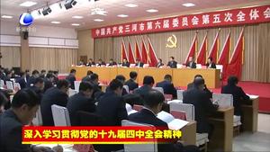 三河市委召開六屆五次全會(huì)學(xué)習(xí)貫徹黨的十九屆四中全會(huì)省委九屆九次全會(huì)和市委六屆八次全會(huì)精神