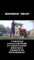 廊坊開發(fā)區(qū)打造“月季之城”
