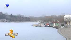 本周我市天氣以多云為主 大風降溫比較明顯