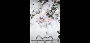 張會芳短視頻