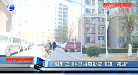零距離·關(guān)注：超14天無人領(lǐng)養(yǎng)流浪犬實行“安樂死” 你怎么看？