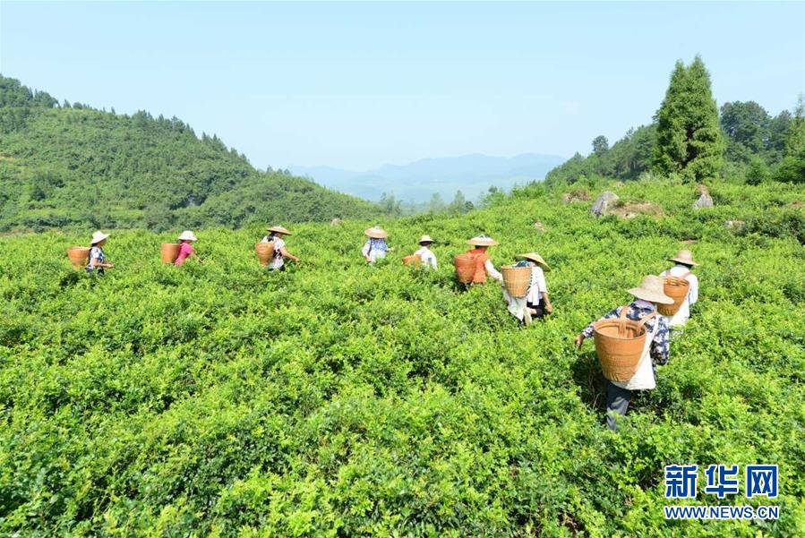 （在習(xí)近平新時(shí)代中國特色社會(huì)主義思想指引下——新時(shí)代新作為新篇章·總書記關(guān)切脫貧事·決勝貧困·圖文互動(dòng)）（8）易地扶貧搬遷：助力“跨越式”奔小康