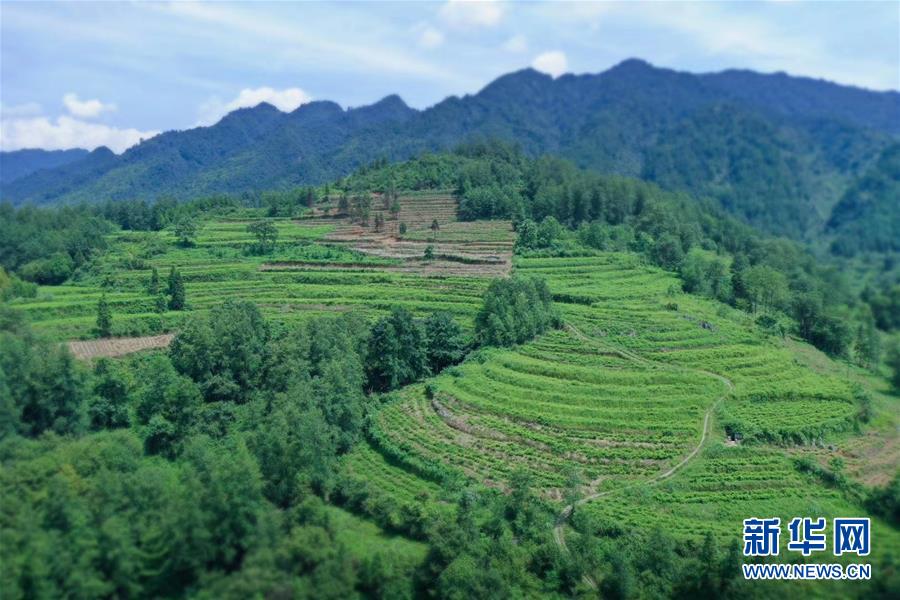 （在習(xí)近平新時(shí)代中國特色社會(huì)主義思想指引下——新時(shí)代新作為新篇章·總書記關(guān)切脫貧事·決勝貧困·圖文互動(dòng)）（7）易地扶貧搬遷：助力“跨越式”奔小康