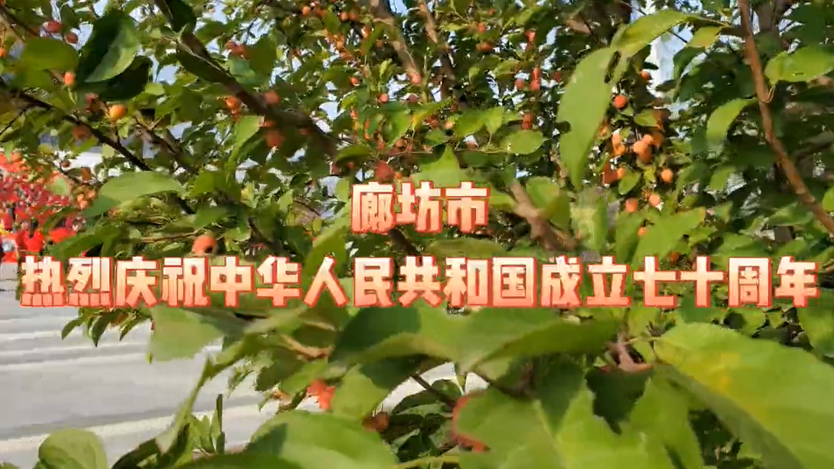 我和我的祖國