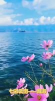 洱海風(fēng)光