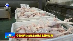固安迪諾斯環(huán)?？萍加邢薰荆悍馈耙摺鄙a(chǎn)兩手抓 加緊復(fù)工生產(chǎn)