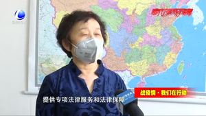 廊坊市法律服務(wù)志愿團(tuán) 為疫情防控提供法治保障