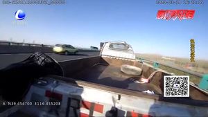 車上小羊“撒”滿高速 交警及時出動治理