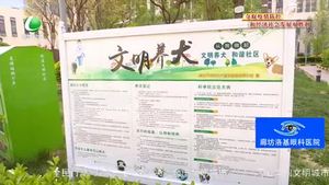 創(chuàng)城，我們一起：專項整治在行動 引導(dǎo)市民依法文明養(yǎng)犬