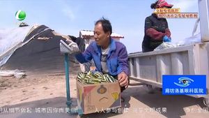 安次區(qū)宋王務村：“線上銷售+入園采摘”黨建大棚甜瓜喜豐收