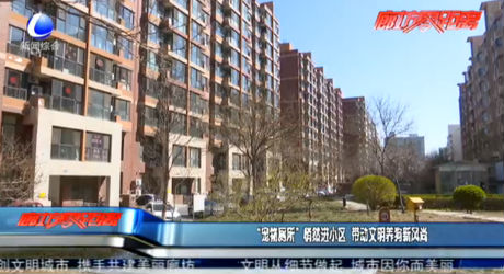 “寵物廁所”悄然進小區(qū) 帶動文明養(yǎng)狗新風尚