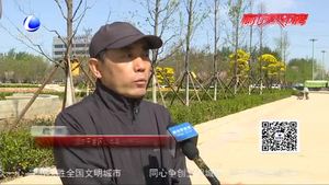 【記者帶您“云”游廊坊】假期好去處—廊坊開發(fā)區(qū)的“月季大道”