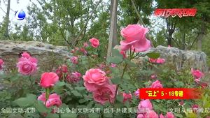 打造花園空間 喜迎“5·18”經(jīng)經(jīng)洽會