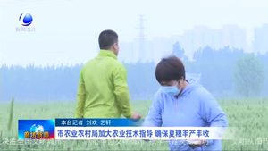 市農(nóng)業(yè)農(nóng)村局加大農(nóng)業(yè)技術(shù)指導 確保夏糧豐產(chǎn)豐收