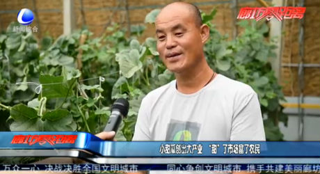小甜瓜創(chuàng)出大產業(yè) “甜”了市場富了農民