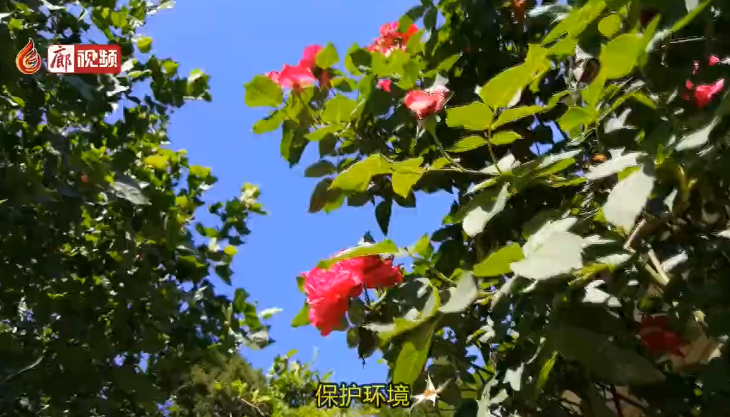  廊視頻 | 爭(zhēng)做文明市民