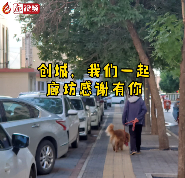 廊視頻 | “創(chuàng)城，我們一起”廊坊感謝有你