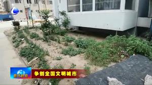 我市部分小區(qū)創(chuàng)建點(diǎn)位問(wèn)題亟待整改