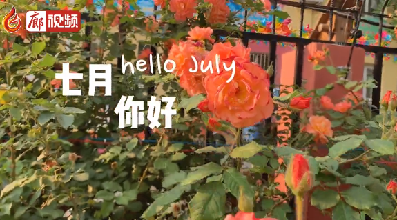 廊視頻 | 六月再見，七月你好