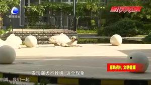 我市開展“文明養(yǎng)犬、愛護(hù)環(huán)境”行動  加強(qiáng)養(yǎng)犬管理提升城市形象