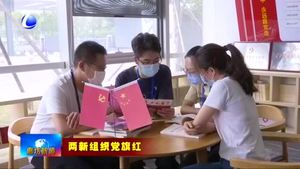 維信諾（固安）科技有限公司：創(chuàng)新驅動發(fā)展 黨旗引領航向