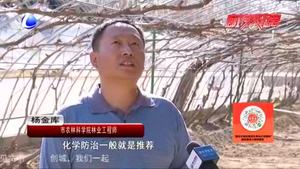 農博士 話農事——葡萄病蟲害防治技術