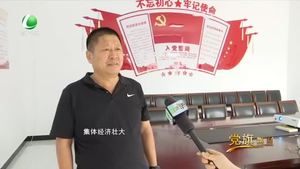 李桑園村書(shū)記李洪坤：環(huán)境美了 收入高了 人心就齊了