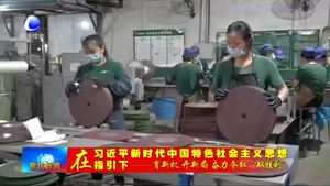 盛森磨具有限公司：化危為機(jī) 助推企業(yè)逆勢(shì)上揚(yáng)