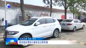 我市部分背街小巷車(chē)位少停車(chē)難