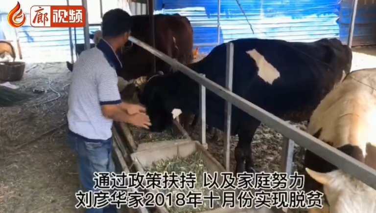 廊視頻 | 大城縣精準扶貧