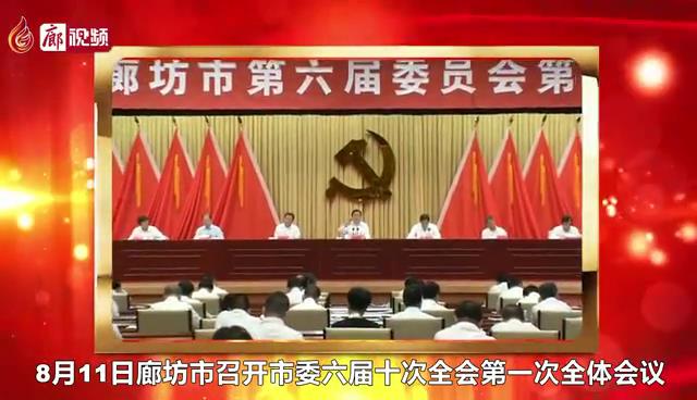 廊視頻 |?推動(dòng)北三縣加快融入北京城市副中心，廊坊這么干