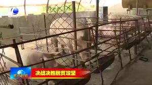 大城縣：乘精準扶貧東風 走勤勞致富小康路