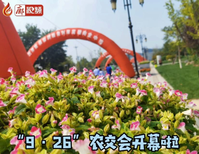 廊視頻 | 吃貨帶你逛展會——“9·26”農(nóng)交會