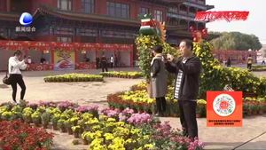 中信國(guó)安第一城百萬(wàn)菊藝花海 盛裝以待八方游客