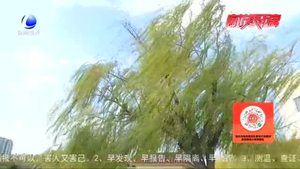 雨后的廊坊 真美！