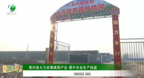 香河縣大力發(fā)展蔬菜產業(yè) 提升農業(yè)生產效益